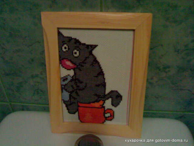котик.jpg