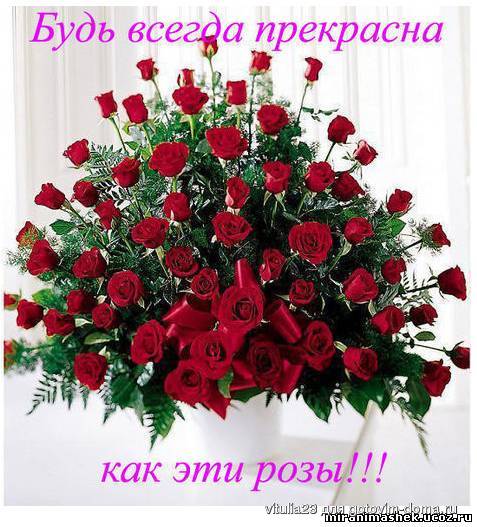 951443479.jpg (57.36 Кб) 951443479.jpg