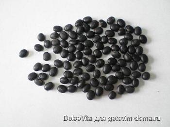 black_bean.jpg