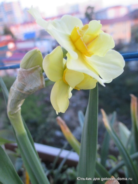 IMG_3772.JPG
