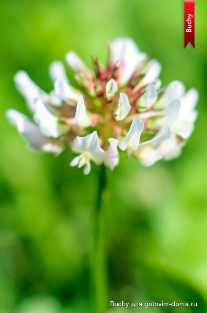 untitled_27.07.13_129.jpg