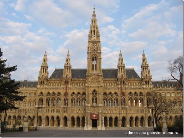 800pxWienerrathaus_3.jpg