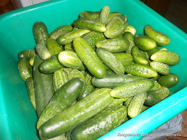 DSCN1958.jpg