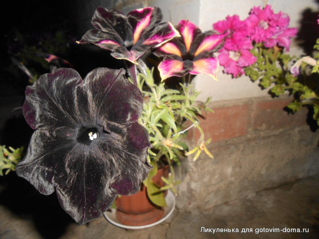 DSCN1201.JPG