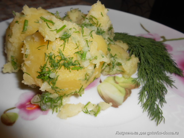 DSCN5539.JPG