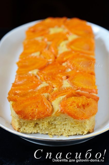 pirog sp.jpg
