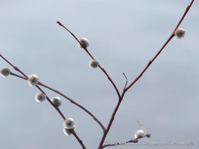 DSCN5254.JPG