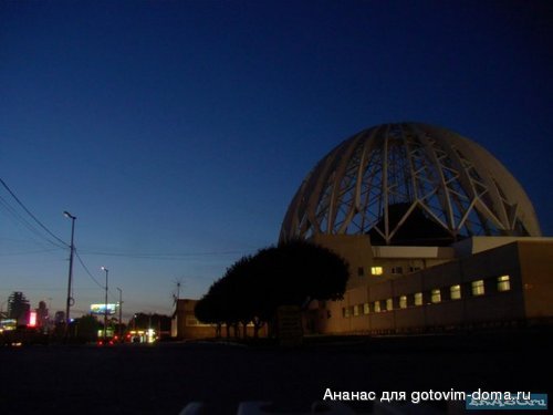 1250756624_00-2.jpg