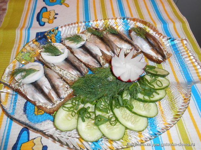 DSCN0488.jpg