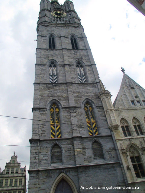 IMG_3377.jpg