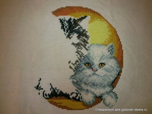 коти.jpg