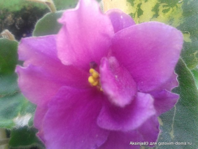 20140305_111052.jpg