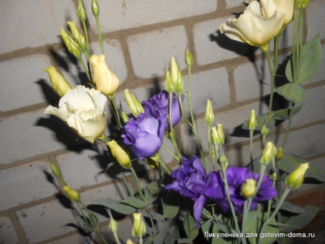 DSCN1196.JPG