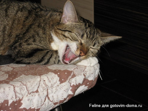 222 010_resize.jpg