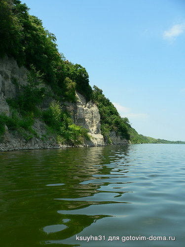 P1050169.jpg