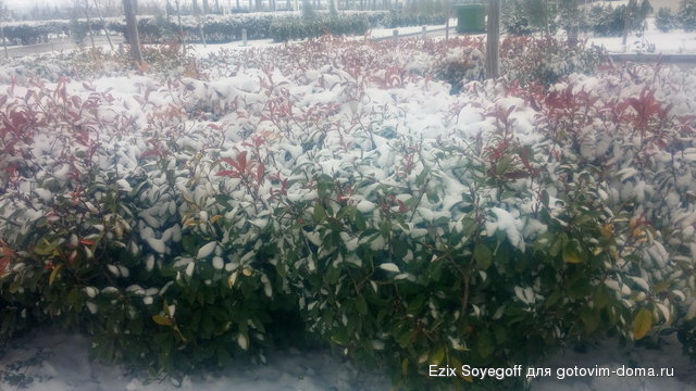 20160210_100649.jpg