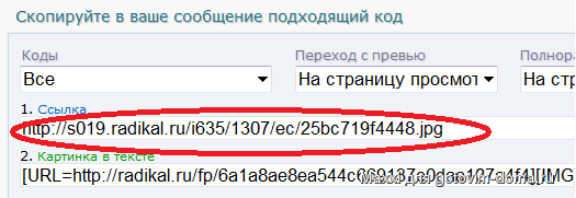 temp.png