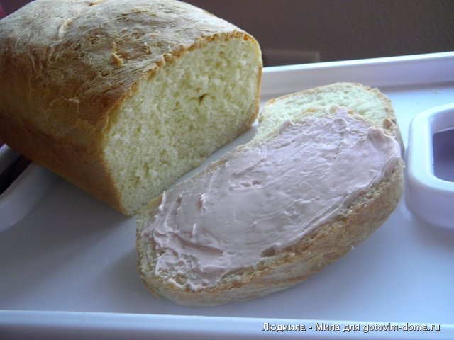 P2260009.JPG