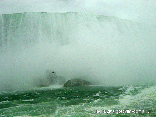 Picture-873.gif
