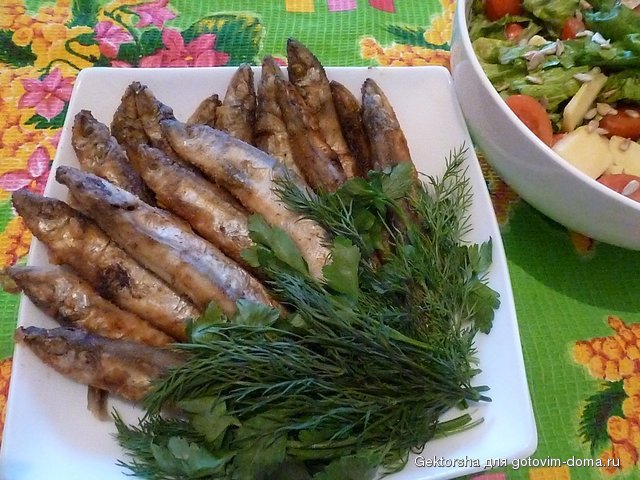P1010372.JPG