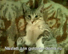 IMG0015A.jpg