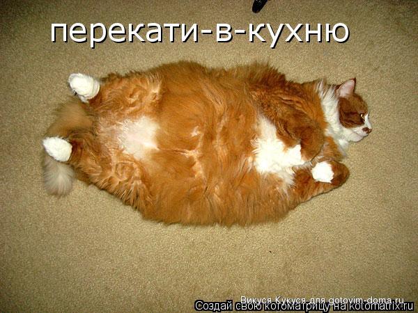 перекати.jpg