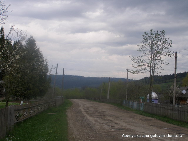 P5010085.jpg