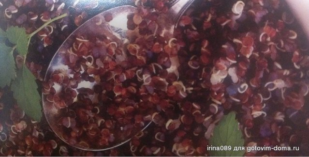 quinoa2.jpg