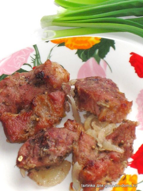 шашлык на луковой подушке.jpg