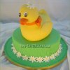 phoca_thumb_m_duck_2 copy.jpg