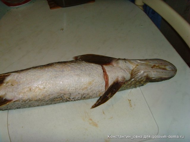 SNV32843.JPG