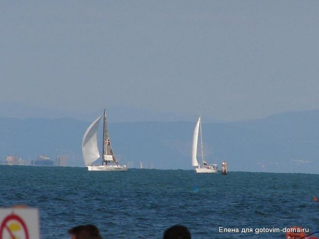 DSC00294.JPG
