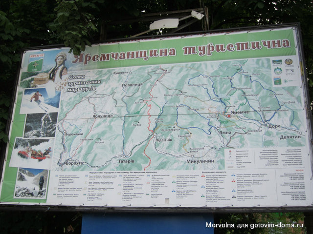 IMG_9989.JPG