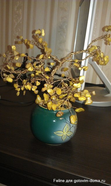 IMAG0206.jpg