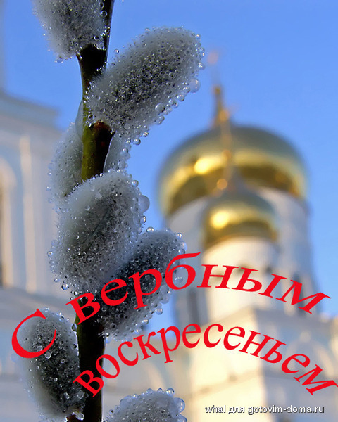 64a2104c97db.jpg