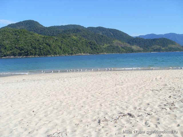SDC15709.JPG