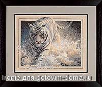 Белый тигр 2.jpg