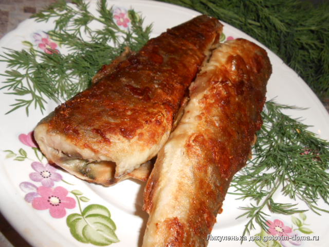 DSCN5316.JPG