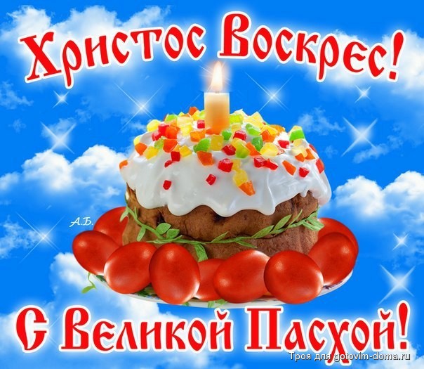 391378.jpg