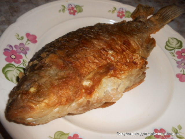 DSCN9212.JPG