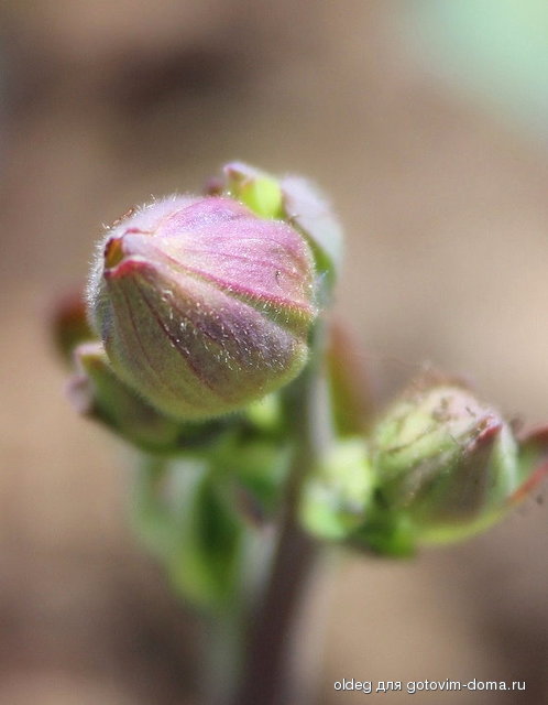 2013_05_05_0207.jpg