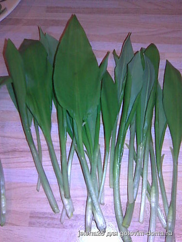 Image002.jpg