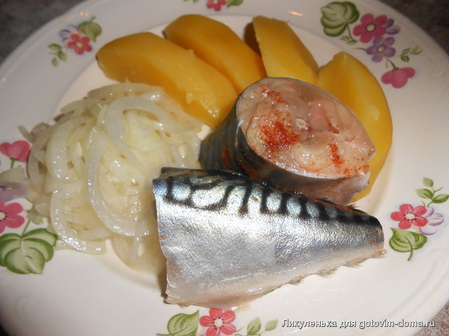 DSCN1962.jpg