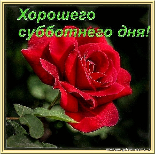 79294368_HOROSHEGO_SUBBOTNEGO_DNYA.jpg