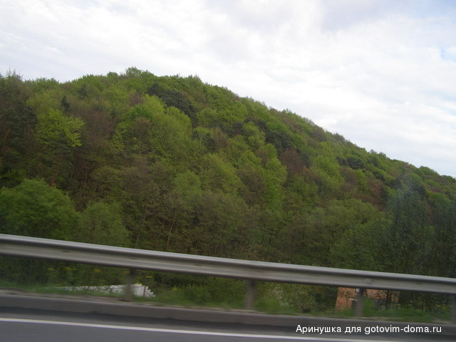 P4300032.jpg
