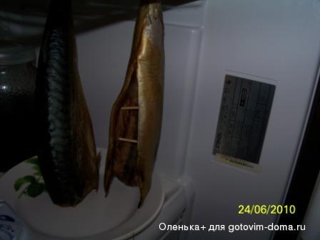 100_2824.jpg