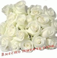 розы2.gif