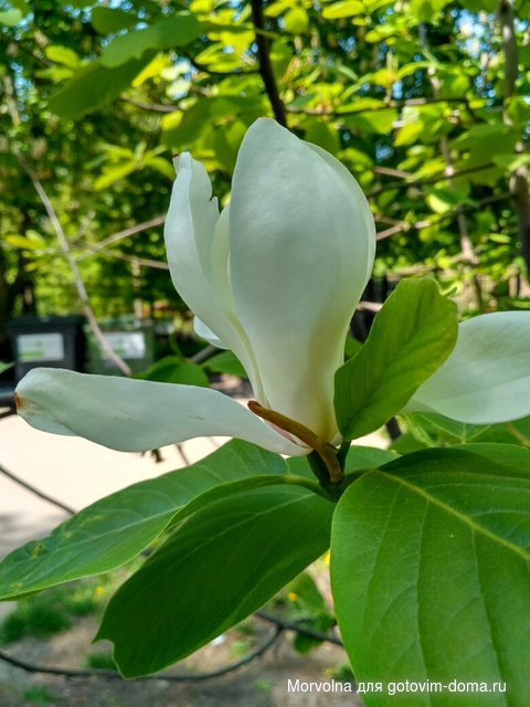 IMG_20170507_114218_HDR.jpg