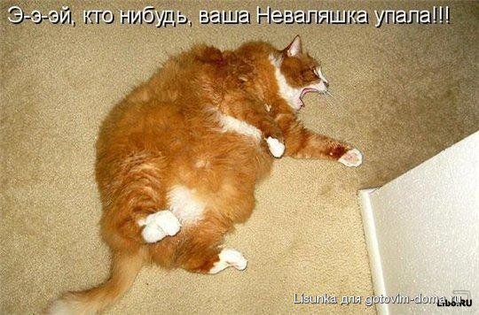 hevaljashka.jpg