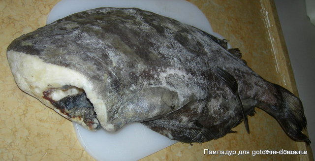 DSCN0120.JPG